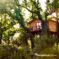 Bungalows Club